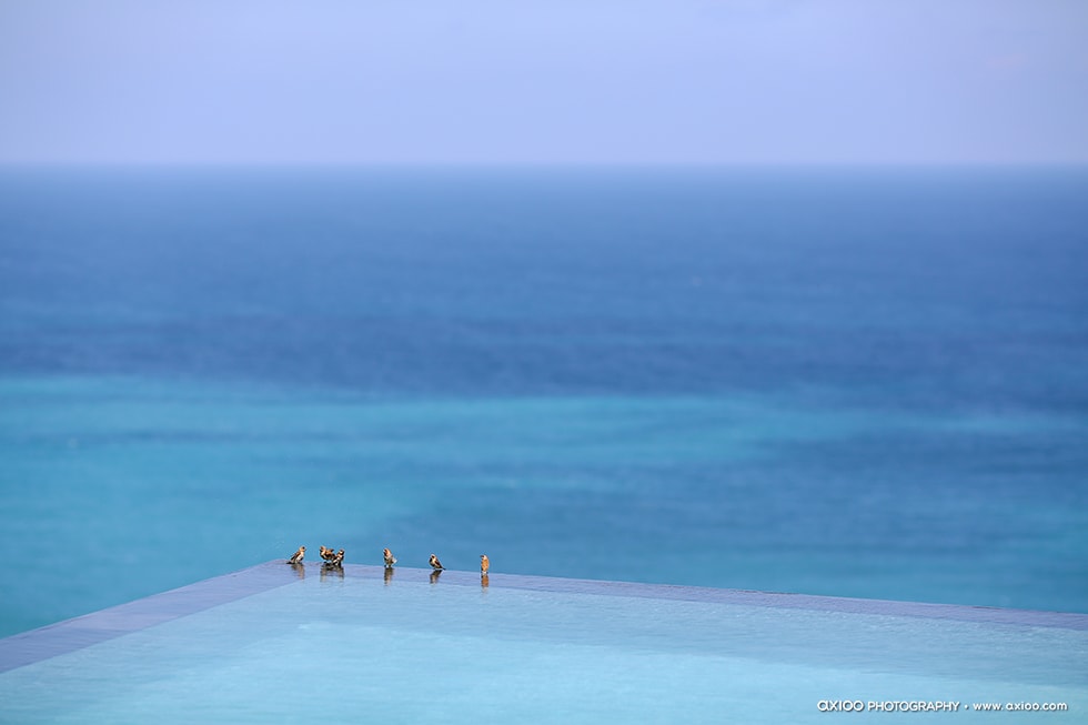 Axioo: The Infinite Garden of Love